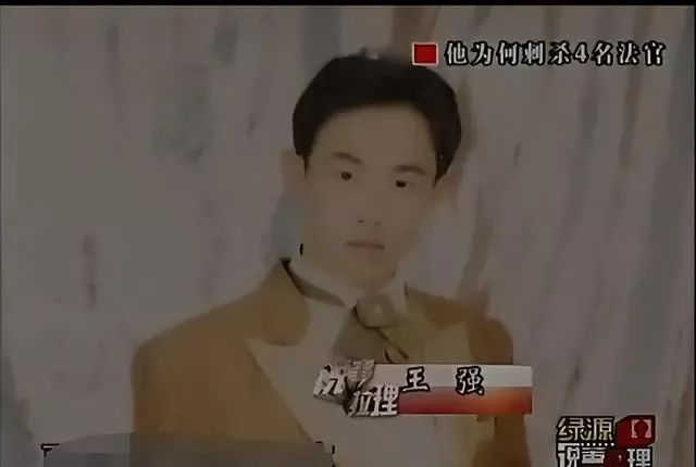 农民被警察误射致瘫，儿子上诉16年无果，一怒之下连杀四名法官！